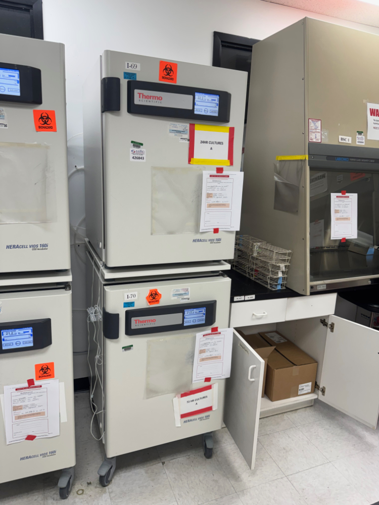 Image of Thermo HERAcell vios 160i Double Stack CO2 Incubator